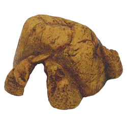 Exo Terra Reptil Cave Sürüngen Mağarası Small 17x15,5x7,5 Cm - Exo Terra