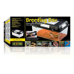 Exo Terra Sürüngen Besleme Kutusu Medium 30x19x15 Cm - 3