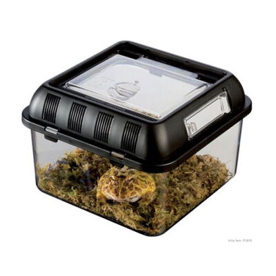 Exo Terra Sürüngen Besleme Kutusu Small 20x20x14 Cm - 2