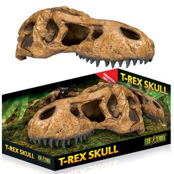 Exo Terra T-Rex Dinazor Kafatası Sürüngen Yuvası Dekor - Exo Terra