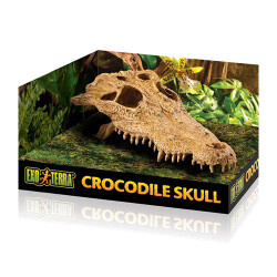 Exo Terra Timsah Kafatası Sürüngen Yuvası Dekor 22x11x8 Cm - Exo Terra