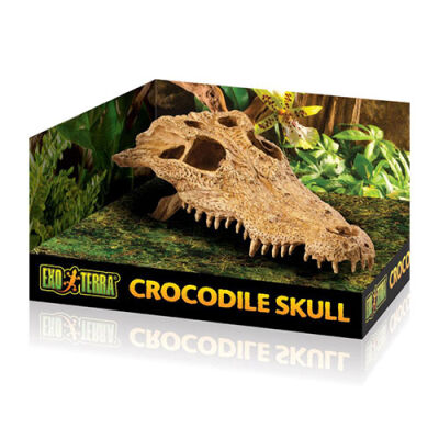 Exo Terra Timsah Kafatası Sürüngen Yuvası Dekor 22x11x8 Cm - 1