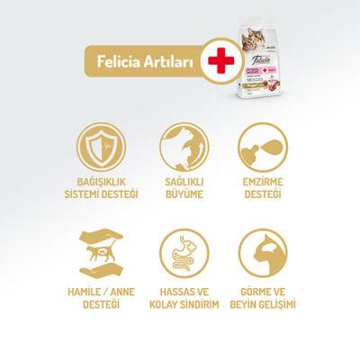 Felicia Hypoallergenic Kuzulu Düşük Tahıllı Yavru Kedi Maması 12 Kg - 2