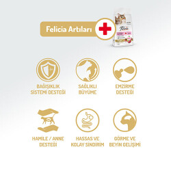 Felicia Hypoallergenic Kuzulu Düşük Tahıllı Yavru Kedi Maması 12 Kg - 2