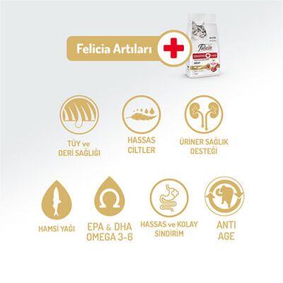 Felicia Hypoallergenic Kuzulu Düşük Tahıllı Yetişkin Kedi Maması 12 Kg - 2