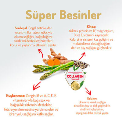 Felicia Hypoallergenic Medium Large Kuzulu Düşük Tahıllı Yetişkin Köpek Maması 15 Kg - 3