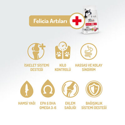 Felicia Hypoallergenic Medium Large Kuzulu Düşük Tahıllı Yetişkin Köpek Maması 3 Kg - 2