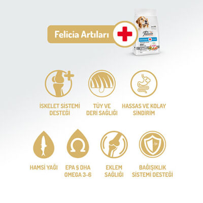 Felicia Hypoallergenic Medium Large Somonlu Düşük Tahıllı Yetişkin Köpek Maması 15 Kg - 2