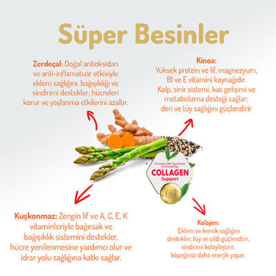 Felicia Hypoallergenic Medium Large Somonlu Düşük Tahıllı Yetişkin Köpek Maması 3 Kg - 3