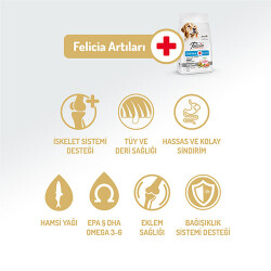 Felicia Hypoallergenic Medium Large Somonlu Düşük Tahıllı Yetişkin Köpek Maması 3 Kg - 2