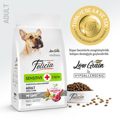 Felicia HypoAllergenic Small Mini Kuzulu Küçük Irk Düşük Tahıllı Yetişkin Köpek Maması 3 Kg - 1