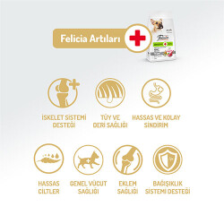 Felicia HypoAllergenic Small Mini Kuzulu Küçük Irk Düşük Tahıllı Yetişkin Köpek Maması 3 Kg - 2