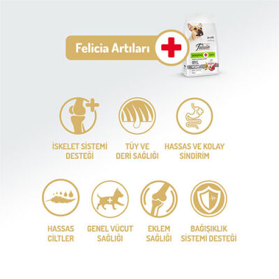 Felicia HypoAllergenic Small Mini Kuzulu Küçük Irk Düşük Tahıllı Yetişkin Köpek Maması 3 Kg - 2