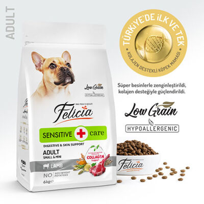 Felicia HypoAllergenic Small Mini Kuzulu Küçük Irk Düşük Tahıllı Yetişkin Köpek Maması 6 Kg - 1