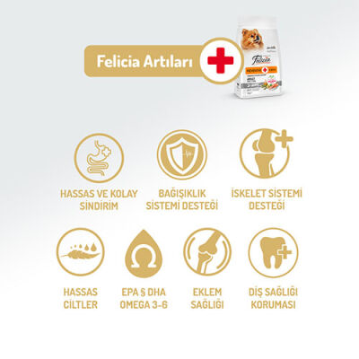 Felicia HypoAllergenic Small Mini Somonlu Küçük Irk Düşük Tahıllı Yetişkin Köpek Maması 3 Kg - 2