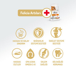 Felicia HypoAllergenic Small Mini Somonlu Küçük Irk Düşük Tahıllı Yetişkin Köpek Maması 6 Kg - 2