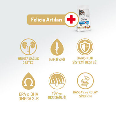 Felicia Hypoallergenic Somonlu Düşük Tahıllı Yetişkin Kedi Maması 12 Kg - 2