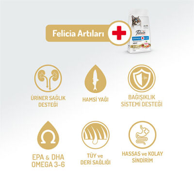 Felicia Hypoallergenic Somonlu Düşük Tahıllı Yetişkin Kedi Maması 2 Kg - 2