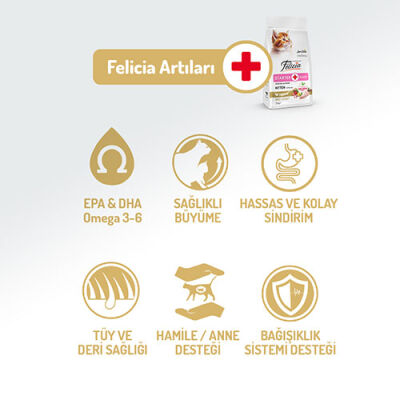 Felicia Hypoallergenic Tavuklu ve Hamsili Düşük Tahıllı Yavru Kedi Maması 12 Kg - 2