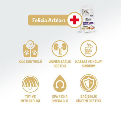Felicia Hypoallergenic Urinary Somonlu Düşük Tahıllı Kısırlaştırılmış Kedi Maması 12 Kg - 2