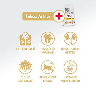 Felicia HypoAllergenic Urinary Sterilised +7 Tavuklu Düşük Tahıllı Kısırlaştırılmış Yaşlı Kedi Maması 2 Kg - 2