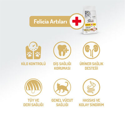 Felicia HypoAllergenic Urinary Sterilised +7 Tavuklu Düşük Tahıllı Kısırlaştırılmış Yaşlı Kedi Maması 12 Kg - 2