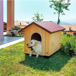 Ferplast Domus Ahşap Köpek Kulübesi Extra Büyük 92x11,5x90 Cm - 3