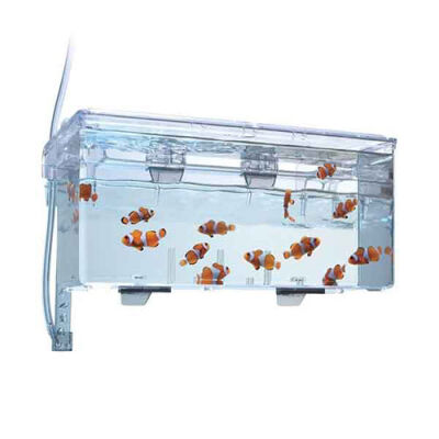 Fluval Askı Plastik Büyük Yavruluk 26x14x12 Cm - 2