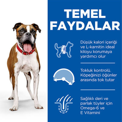 Hill’s SCIENCE PLAN Adult Light Medium Chicken Orta Irk Tavuklu Light Köpek Maması 2,5 Kg - 3
