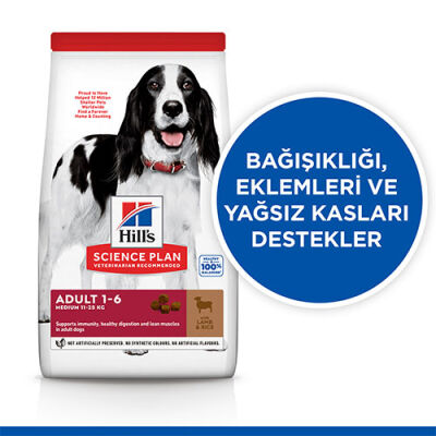 Hill’s SCIENCE PLAN Adult Medium Lamb & Rice Orta Irk Kuzulu Yetişkin Köpek Maması 2,5 Kg - 2