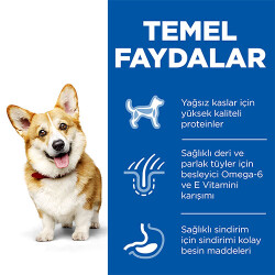 Hill’s SCIENCE PLAN Adult Small & Mini Chicken Küçük Irk Tavuklu Yetişkin Köpek Maması 3 Kg - 3