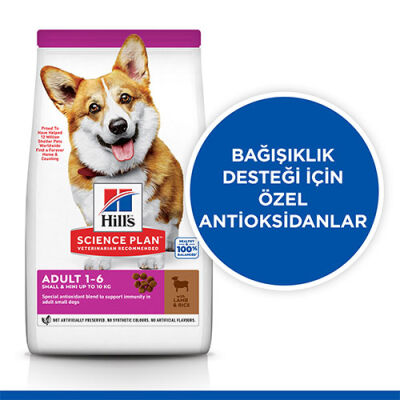 Hill’s SCIENCE PLAN Adult Small & Mini Lamb & Rice Küçük Irk Kuzulu Yetişkin Köpek Maması 1,5 Kg - 2