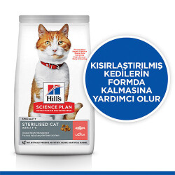 Hill’s SCIENCE PLAN Sterilised Somon Balıklı Kısırlaştırılmış Kedi Maması 10 Kg - 2