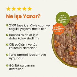 Kito Fresh Hindi Etli Hipoalerjenik Taze Köpek Yemeği 250 Gr - 2