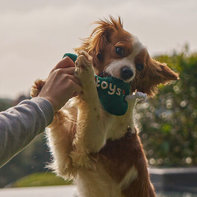 Kito Toys Kemik Peluş Köpek Oyuncağı - 2