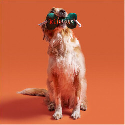 Kito Toys Kemik Peluş Köpek Oyuncağı - 3