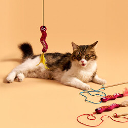 Kito Toys Solucan Peluş Kedi Oyuncağı - 2