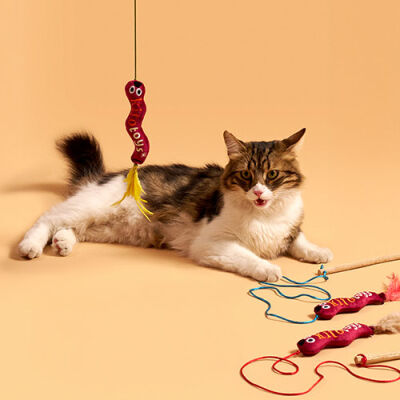 Kito Toys Solucan Peluş Kedi Oyuncağı - 2