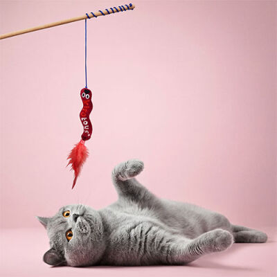 Kito Toys Solucan Peluş Kedi Oyuncağı - 3