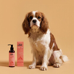 Kito Vitamins Balık Yağı Tüy Dökülme Karşıtı Kedi ve Köpek Takviyesi 200 ml - 3
