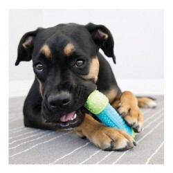 Kong Core Strength Plastik Köpek Çiğneme Oyuncağı, 17,5 Cm - 2