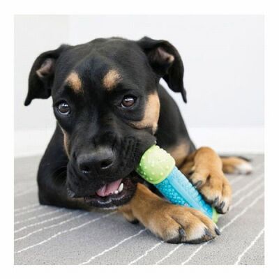 Kong Core Strength Plastik Köpek Çiğneme Oyuncağı, 17,5 Cm - 2