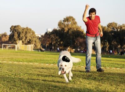 Kong Extreme Kauçuk Köpek Oyuncağı Large 10 Cm - 5