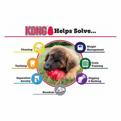 Kong Extreme Kauçuk Köpek Oyuncağı Small 8 Cm - 3
