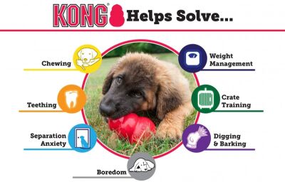 Kong Puppy Kauçuk Küçük Irk Yavru Köpek Oyuncağı XS 6 Cm - 4