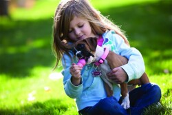 Kong Puppy Kauçuk Küçük Irk Yavru Köpek Oyuncağı XS 6 Cm - 6