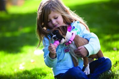 Kong Puppy Kauçuk Küçük Irk Yavru Köpek Oyuncağı XS 6 Cm - 6