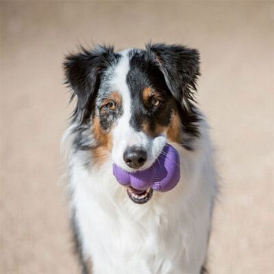Kong Senior Yaşlı Köpek Oyuncağı Medium - 3