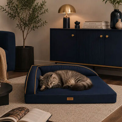 Lepus Corner Seat Kedi ve Köpek Yatağı Lacivert 54x77 Cm - 2
