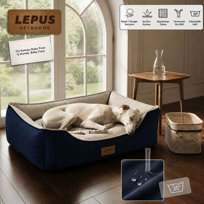 Lepus Dolce Premium Kedi ve Köpek Yatağı Mavi Medium - 3